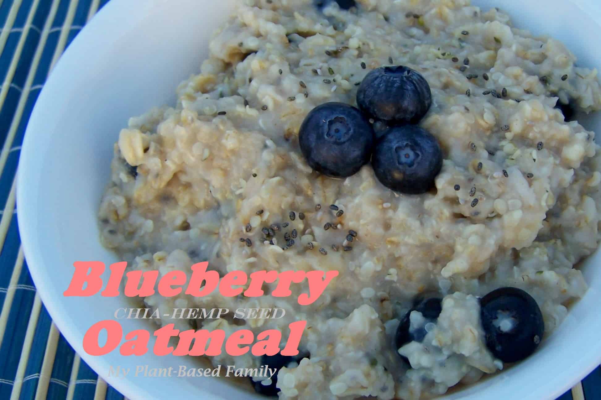 blueberry oatmeal 2