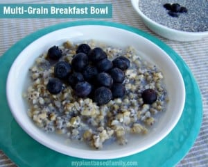 multi-grain breakfast bowl is vegan and gluten free