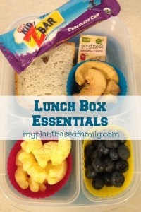 Basic Lunch Box Essentials for elementary kids