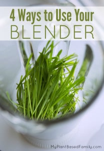 Love your blender? Love it all year long with 4 ways to use your blender that is not smoothies.