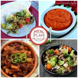 a plant-based meal plan for fall.