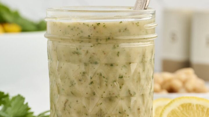 Greek Salad Dressing (No Oil)